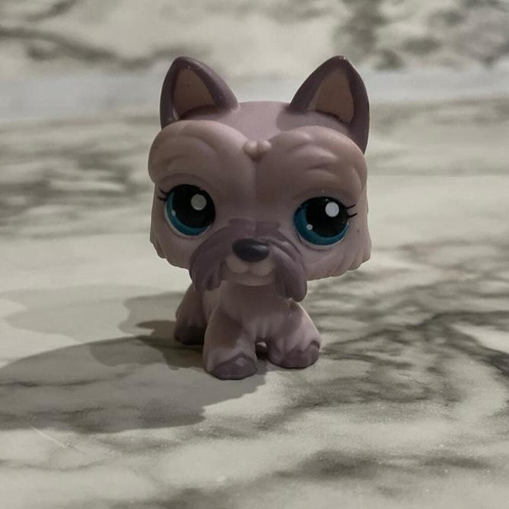 Littlest pet shop scottie